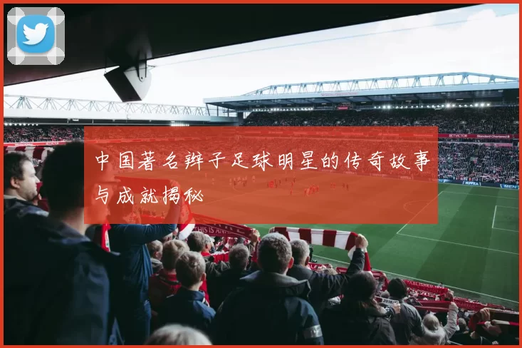 中国著名辫子足球明星的传奇故事与成就揭秘