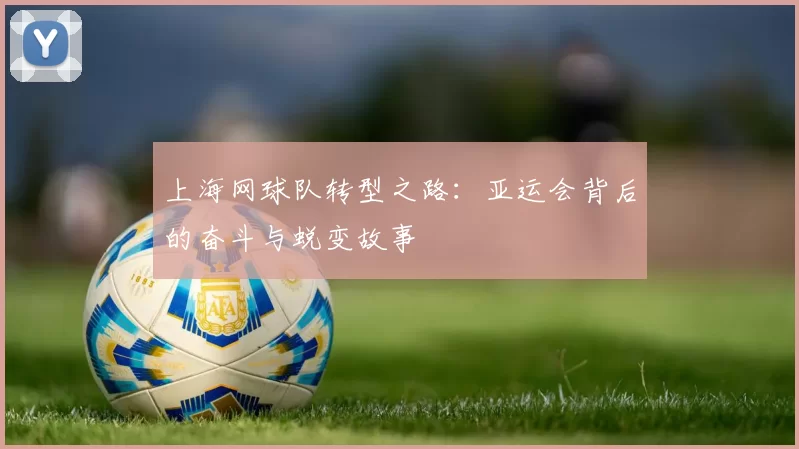 上海网球队转型之路：亚运会背后的奋斗与蜕变故事