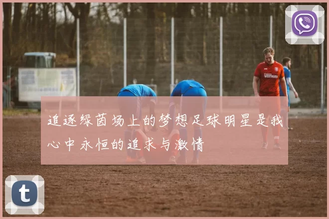 追逐绿茵场上的梦想足球明星是我心中永恒的追求与激情