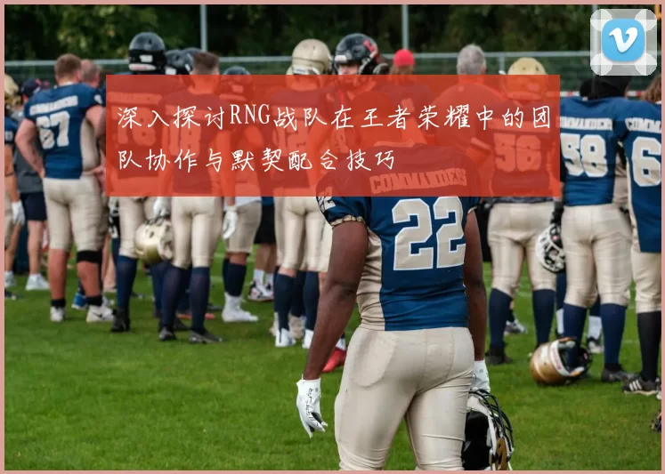 深入探讨RNG战队在王者荣耀中的团队协作与默契配合技巧