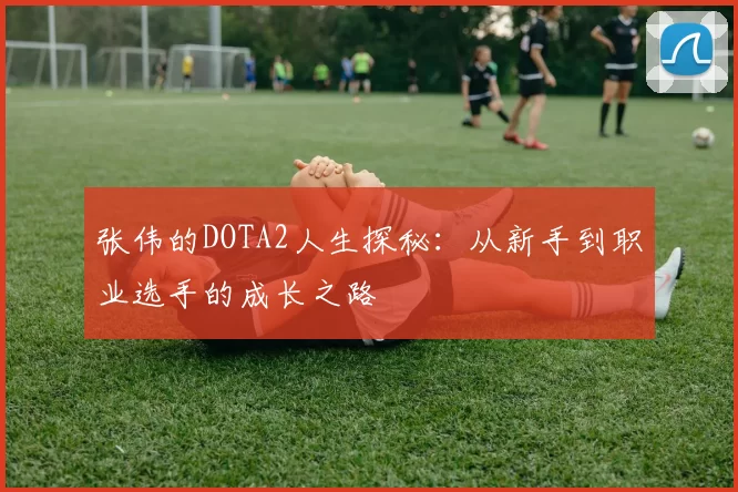 张伟的DOTA2人生探秘：从新手到职业选手的成长之路