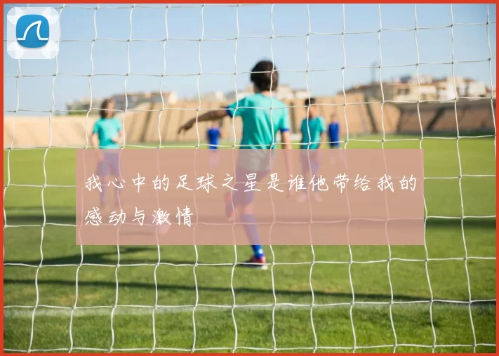 我心中的足球之星是谁他带给我的感动与激情