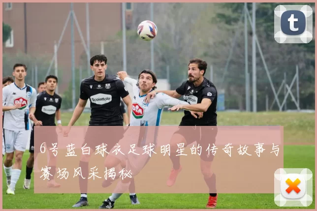 6号蓝白球衣足球明星的传奇故事与赛场风采揭秘
