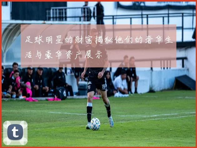 足球明星的财富揭秘他们的奢华生活与豪华资产展示