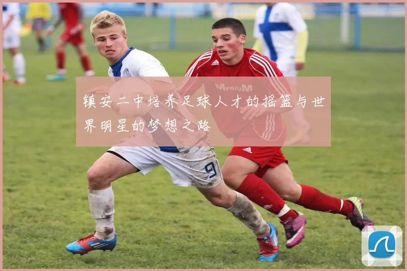 镇安二中培养足球人才的摇篮与世界明星的梦想之路