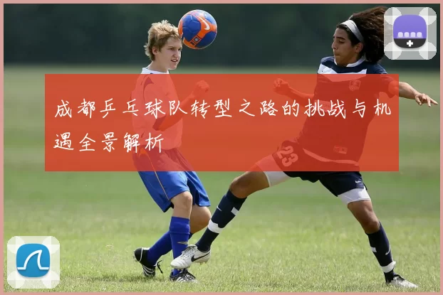 成都乒乓球队转型之路的挑战与机遇全景解析